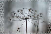 Цифровая обработка (фотошоп)